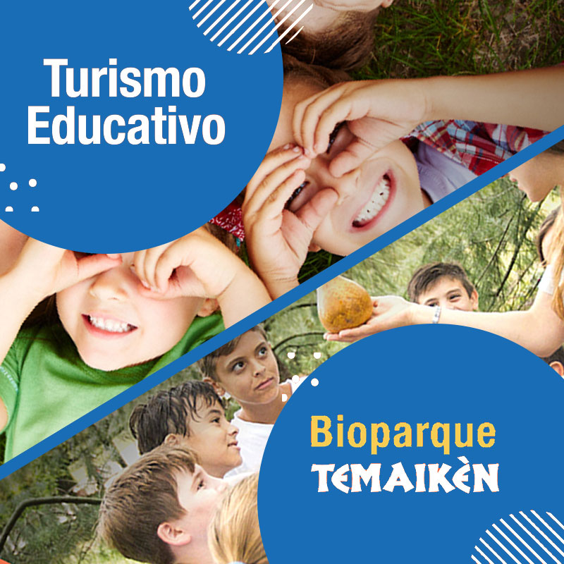 Educativo Sturla